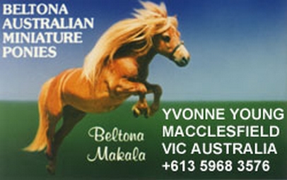 beltona bus. card