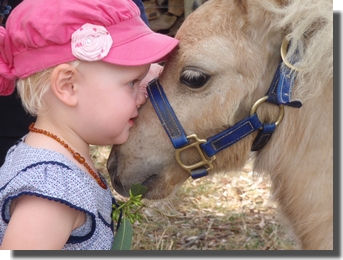 little girl kissing foal